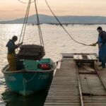 Lever de soleil et poses longues sur l'étang de Thau