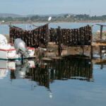 Lever de soleil et poses longues sur l'étang de Thau